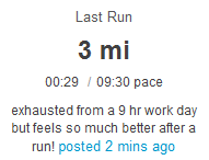 Falafel Goat Cheese Salad