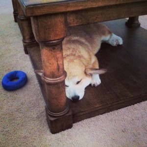 Weekend Recap (9/21- 9/22)