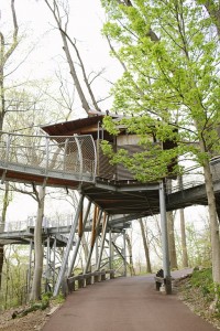 Our Wedding: Cocktail Hour