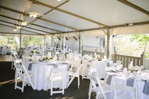 Our Wedding: Reception