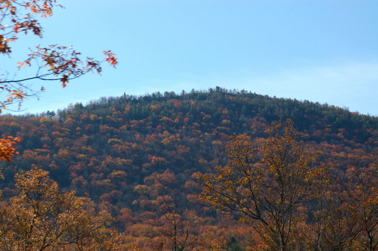things to do in jim thorpe